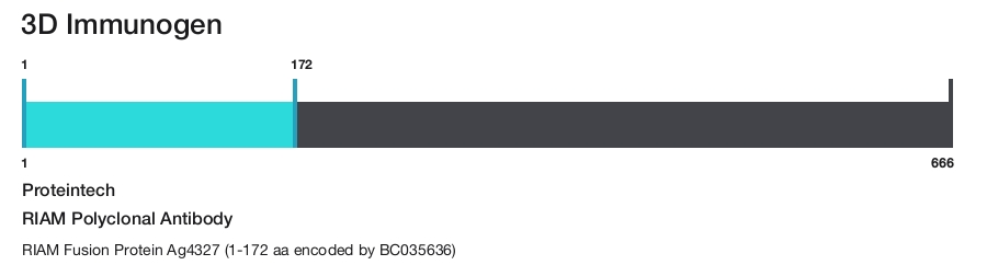 RIAM Polyclonal Antibody