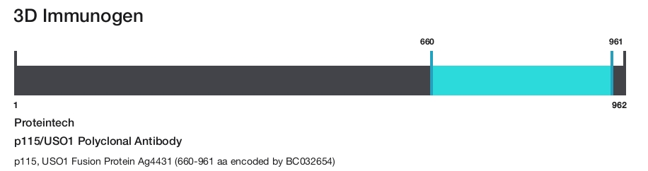 p115/USO1 Polyclonal Antibody