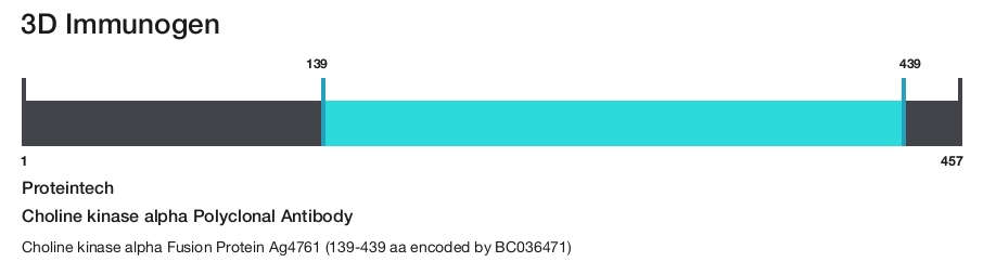 Choline kinase alpha Polyclonal Antibody