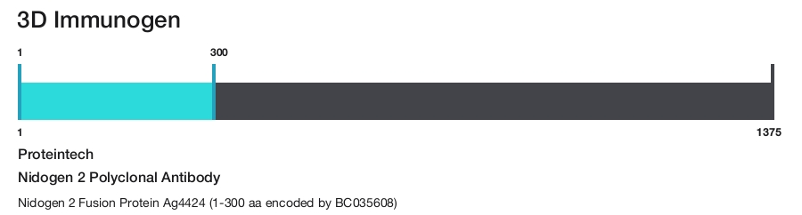 Nidogen 2 Polyclonal Antibody