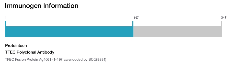 TFEC Polyclonal Antibody