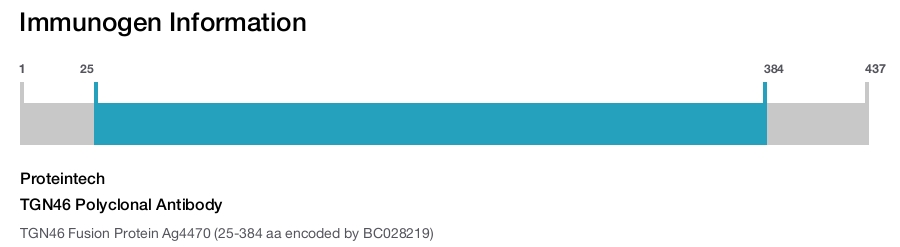TGN46 Polyclonal Antibody