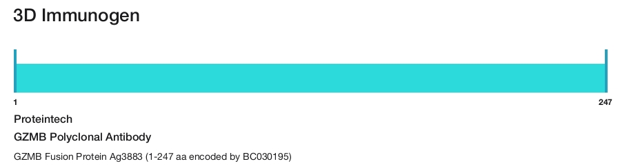GZMB Polyclonal Antibody