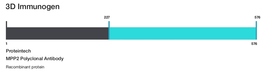 MPP2 Polyclonal Antibody