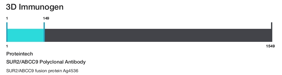 SUR2/ABCC9 Polyclonal Antibody