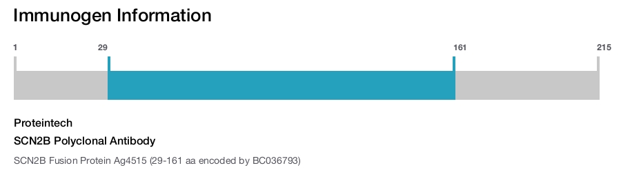SCN2B Polyclonal Antibody