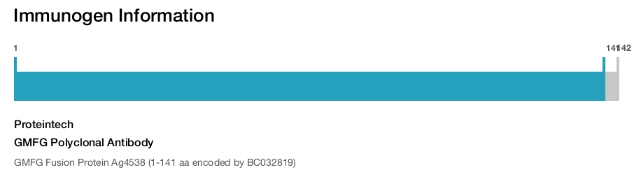 GMFG Polyclonal Antibody