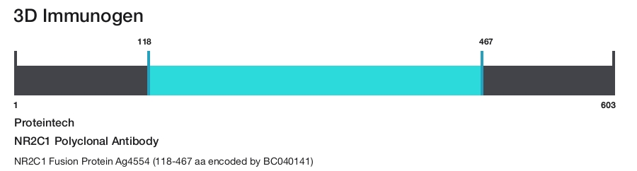 NR2C1 Polyclonal Antibody