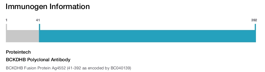 BCKDHB Polyclonal Antibody