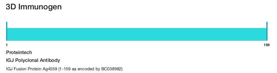 IGJ Polyclonal Antibody