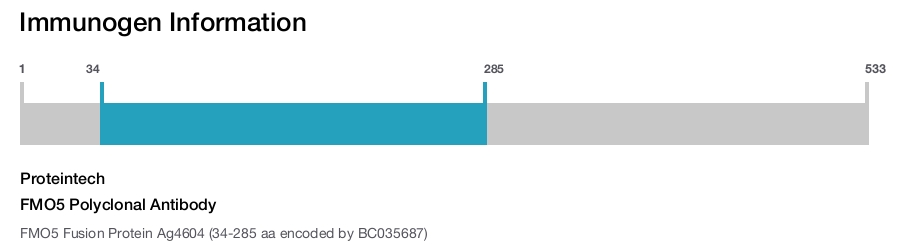 FMO5 Polyclonal Antibody