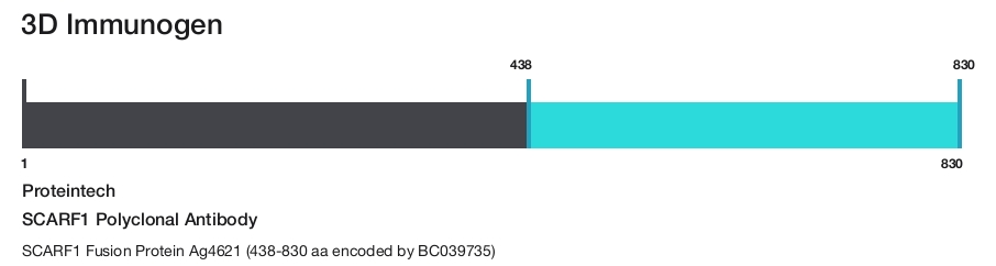 SCARF1 Polyclonal Antibody
