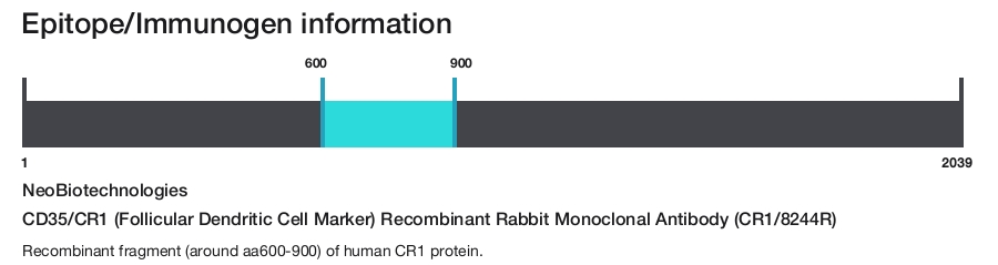 CD35/CR1 (Follicular Dendritic Cell Marker) Recombinant Rabbit Monoclonal Antibody (CR1/8244R)