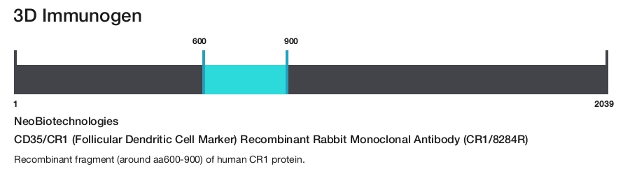 CD35/CR1 (Follicular Dendritic Cell Marker) Recombinant Rabbit Monoclonal Antibody (CR1/8284R)