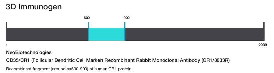 CD35/CR1 (Follicular Dendritic Cell Marker) Recombinant Rabbit Monoclonal Antibody (CR1/8833R)