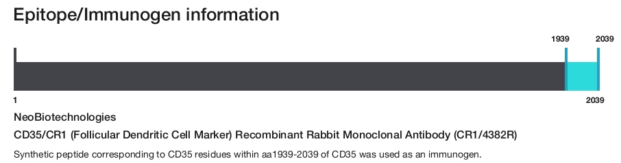 CD35/CR1 (Follicular Dendritic Cell Marker) Recombinant Rabbit Monoclonal Antibody (CR1/4382R)