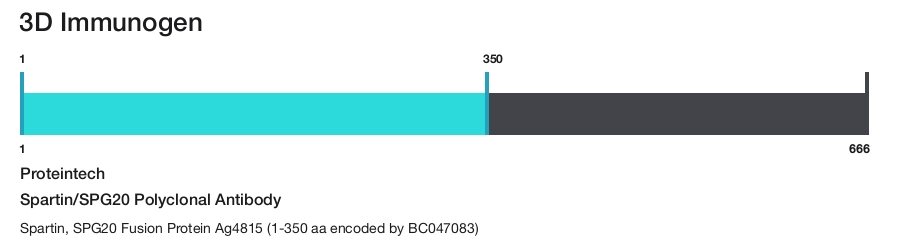 Spartin/SPG20 Polyclonal Antibody