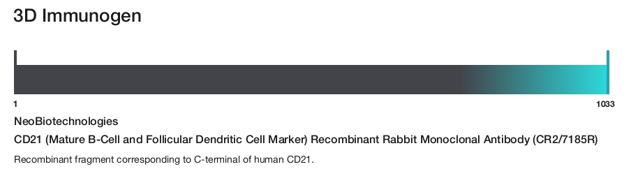 CD21 (Mature B-Cell and Follicular Dendritic Cell Marker) Recombinant Rabbit Monoclonal Antibody (CR2/7185R)