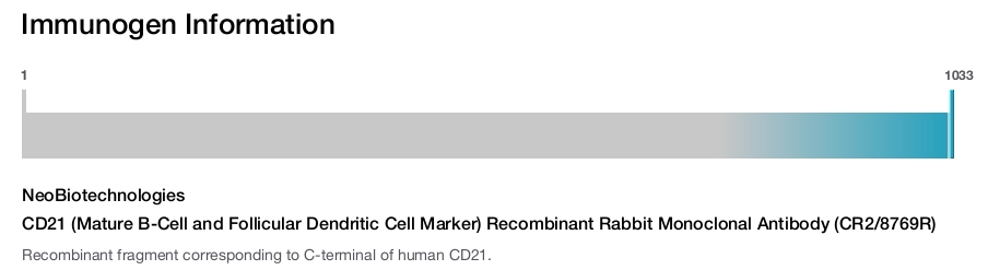 CD21 (Mature B-Cell and Follicular Dendritic Cell Marker) Recombinant Rabbit Monoclonal Antibody (CR2/8769R)