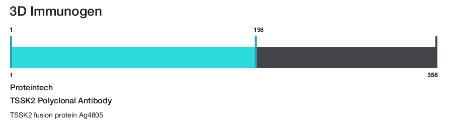 TSSK2 Polyclonal Antibody