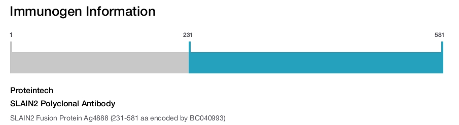SLAIN2 Polyclonal Antibody
