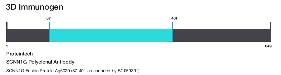 SCNN1G Polyclonal Antibody