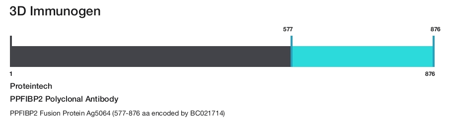 PPFIBP2 Polyclonal Antibody