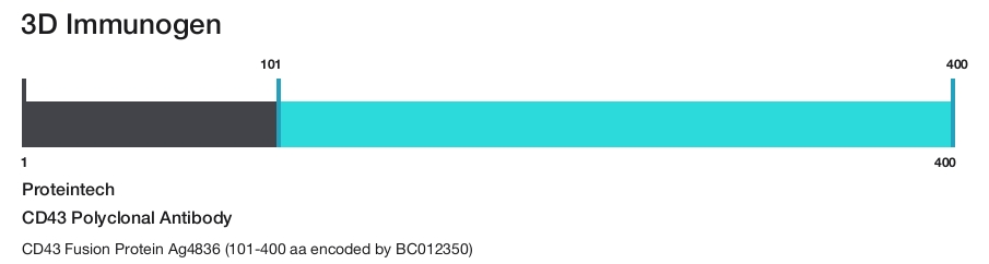 CD43 Polyclonal Antibody