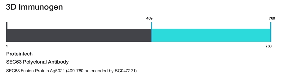 SEC63 Polyclonal Antibody