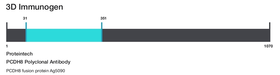 PCDH8 Polyclonal Antibody