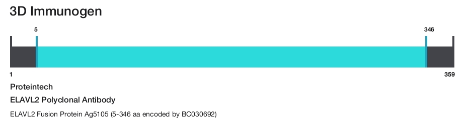 ELAVL2 Polyclonal Antibody