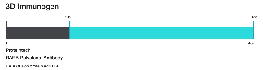 RARB Polyclonal Antibody