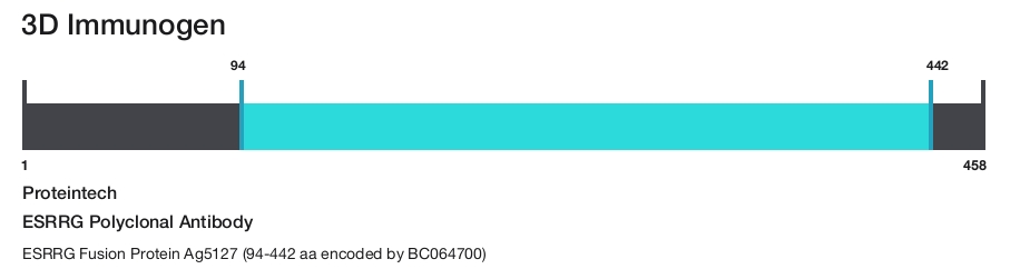 ESRRG Polyclonal Antibody