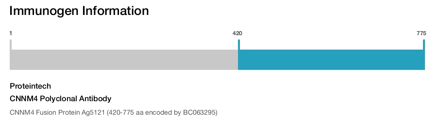 CNNM4 Polyclonal Antibody