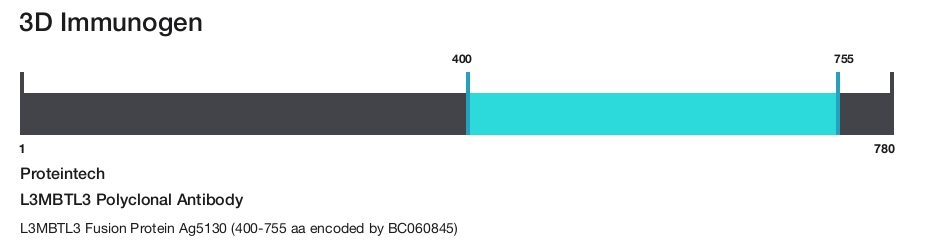 L3MBTL3 Polyclonal Antibody
