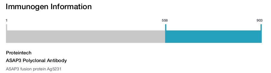 ASAP3 Polyclonal Antibody