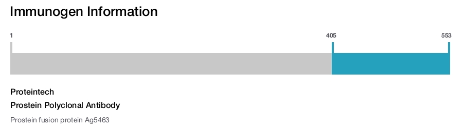 Prostein Polyclonal Antibody