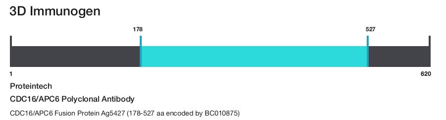 CDC16/APC6 Polyclonal Antibody
