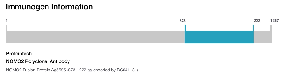 NOMO2 Polyclonal Antibody