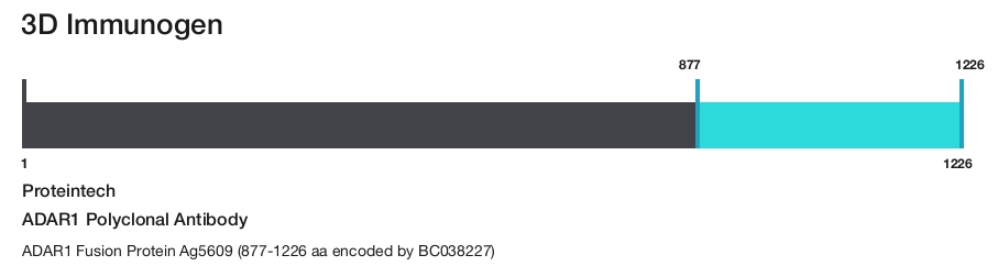 ADAR1 Polyclonal Antibody