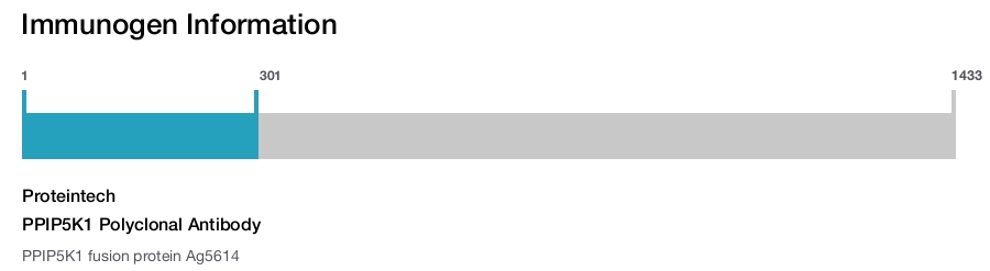 PPIP5K1 Polyclonal Antibody