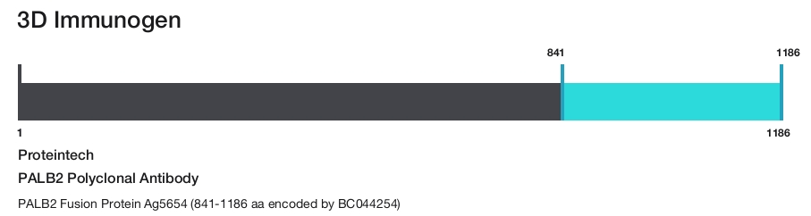 PALB2 Polyclonal Antibody