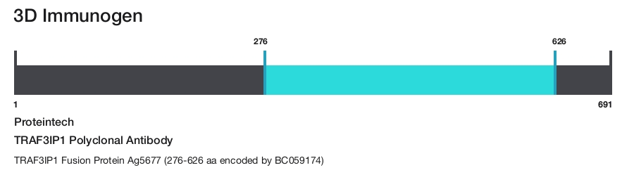 TRAF3IP1 Polyclonal Antibody