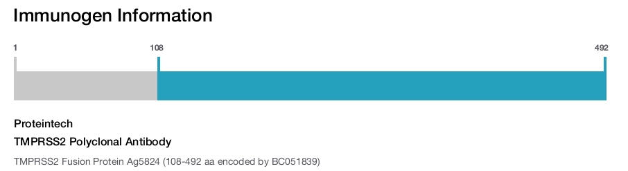 TMPRSS2 Polyclonal Antibody
