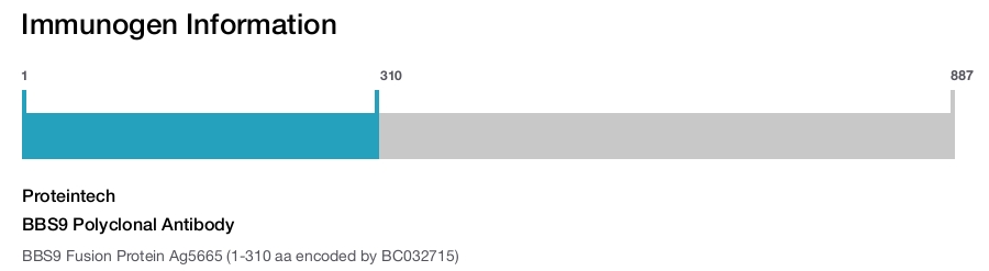 BBS9 Polyclonal Antibody