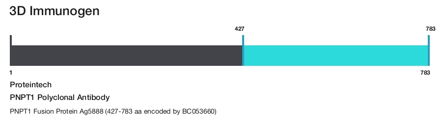 PNPT1 Polyclonal Antibody
