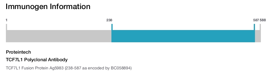 TCF7L1 Polyclonal Antibody
