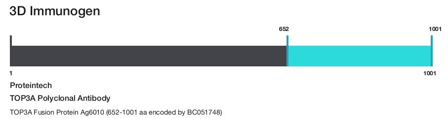 TOP3A Polyclonal Antibody