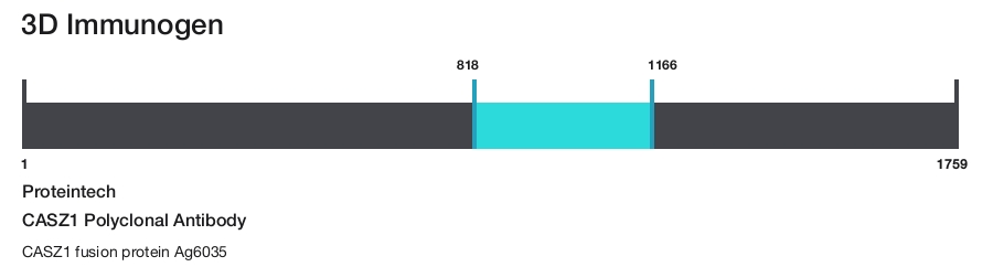 CASZ1 Polyclonal Antibody