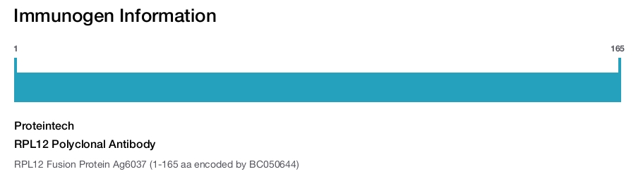 RPL12 Polyclonal Antibody